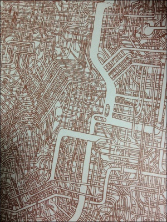 ياباني يرسم متاهة معقدة لمدة 7 سنوات  (صـور)